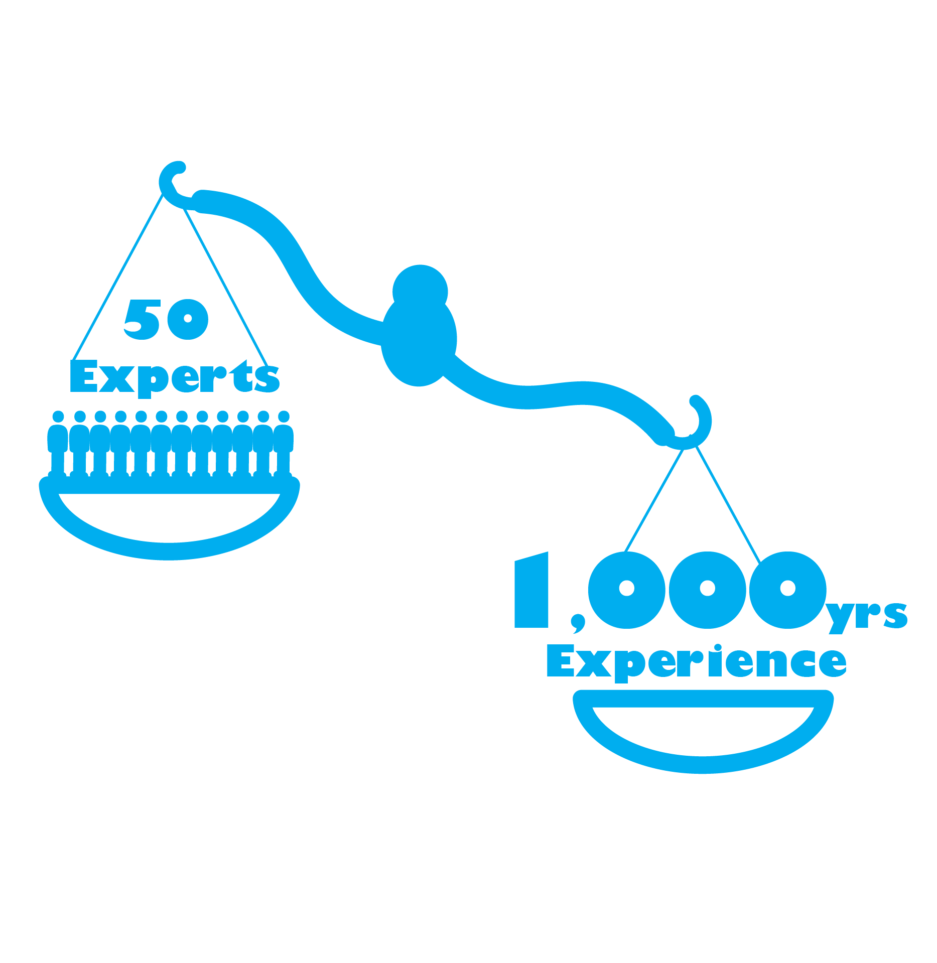 Experts